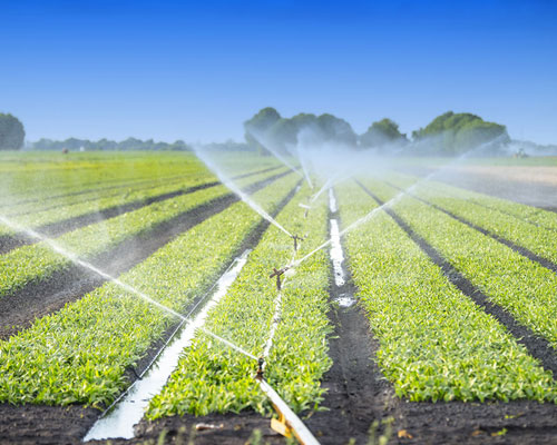 Agriculture-Irrigation