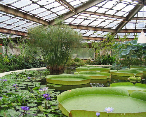 Greenhouse